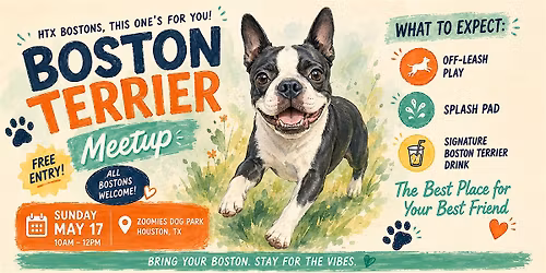 Boston Terrier Meetup