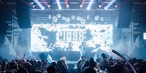 Bingo Lingo - The Christmas Special