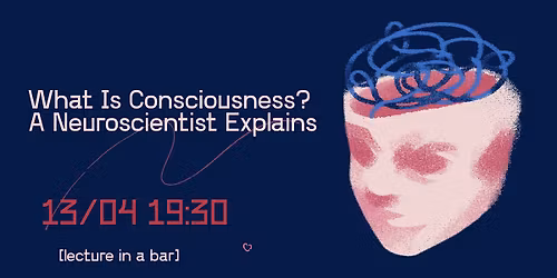 What Is Consciousness? A neuroscientist explains in a bar