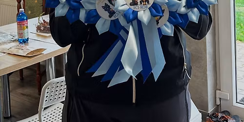 Pierwsze w Polsce Warsztaty Rally-O FCI z Tytti Lintenhofer