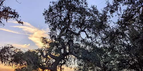 Nykol\u2019s Rescues 10 Year Anniversary Celebration Benefit @ Leroy\u2019s Southern Kitchen-Bar 