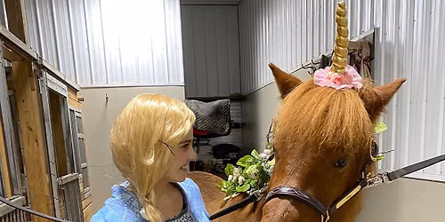 Horse & Treat