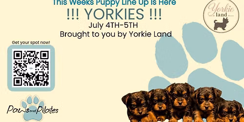GRAND OPENING WITH YORKIE LAND YORKIES!