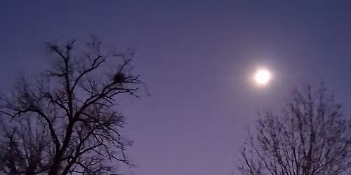 The Moon and Me: Blossoming with the Flower Moon