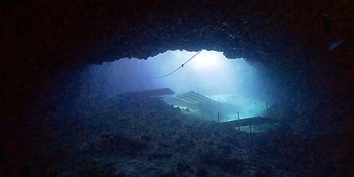 Christmas Dive Event and Toy Drive