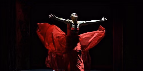 Isabelle Beernaert - ROUGE