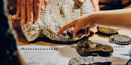 Fossil Handling with the Rotunda Geology Group