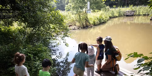 Young Nature Explorers