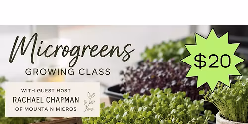 Micro green Growing Class