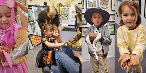 Bug & Reptile Museum Buggy Bash
