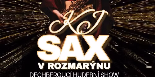 KJ SAX v Rozmar\u00fdnu vol.II
