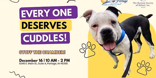 Paws & Recharge with the Chamber