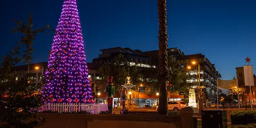 Christmas Tree Light Up