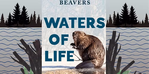 In Conversation with Tom Bowser