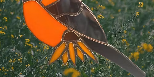 Stained Glass Workshop - Oriole Bird Black-Eyed Susan - Artfully Dunn Creative Studio