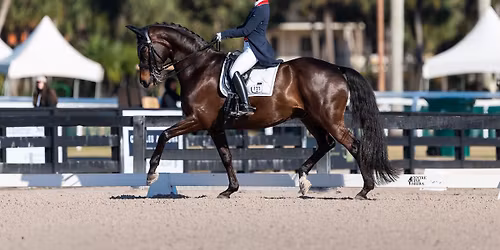 Belinda Trussell Through the Levels Symposium