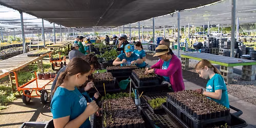Tree Nursery Volunteer Day