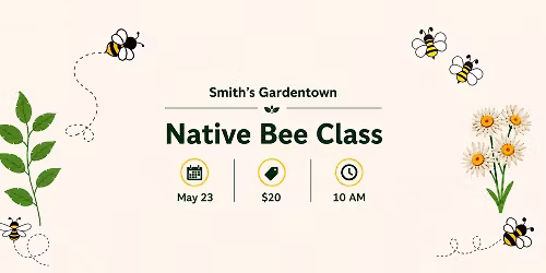 Native Bee Class
