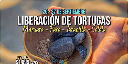 \ud83c\udf05LIBERACI\u00d3N DE TORTUGAS\ud83d\udc22