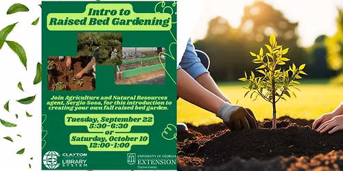 Intro to Raised Bed Gardening