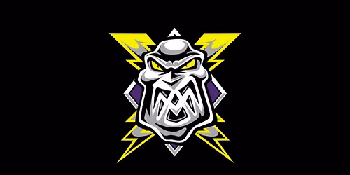 Manchester Storm vs Belfast Giants