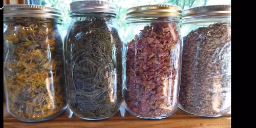 Master Herbalist Certification 