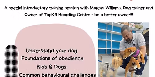 Bark 2 Basics Encore