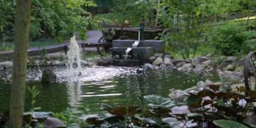 Gassi-Runde um Forsthaus K\u00fchkopf bei Koblenz