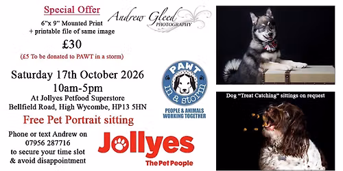 Pet Photography