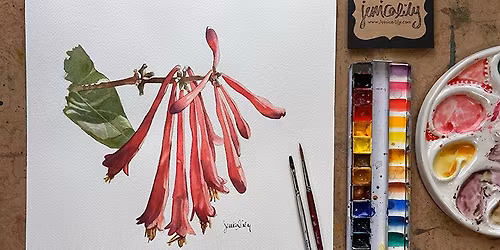 Coral Honeysuckle in Watercolor