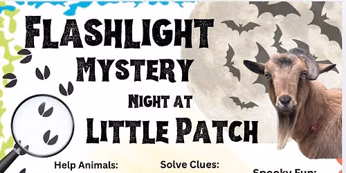 FLASHLIGHT NIGHT: At the Sanctuary