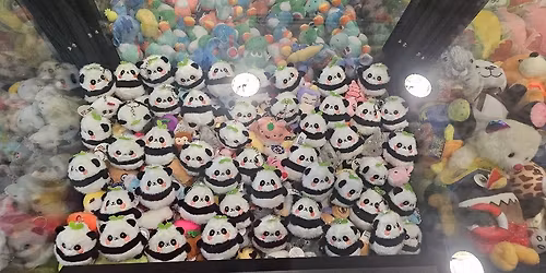 Grand opening Tallahassee UNICLAW 