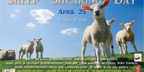 Sheep Shearing Day