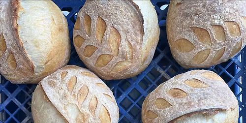 Sourdough Bread Making: The Basics