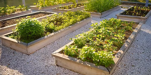 Urban Vegetable Gardening: 4 Part Workshop