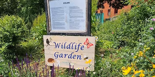 Go Wild - Spring bulb planting \ud83c\udf37