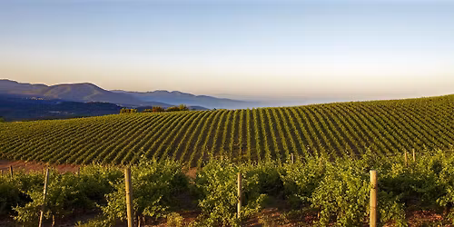 Caymus Wine Tasting by Wagner Family Wines