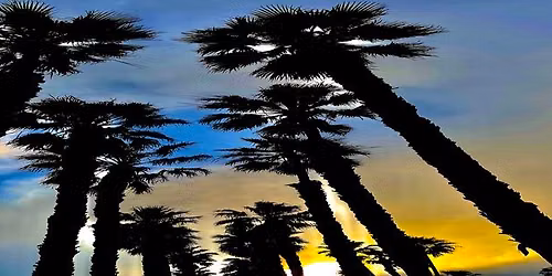 South Bay Acoustic at Vista in Hermosa Beach at Vista - 11 Pier Ave 6\/27 5-8PM - Sunset Beach Event
