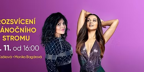 Rozsv\u00edcen\u00ed v\u00e1no\u010dn\u00edho stromu \ud83c\udf84