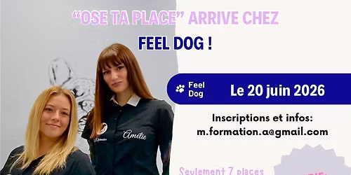 ose ta place chez feel dog!