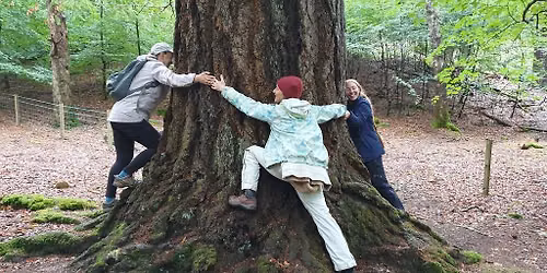 Mindfulness in Nature & Shinrin-yoku Retreat in Scotland