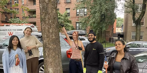 Street Tree Care w\/  MMJCC and Adamah NY