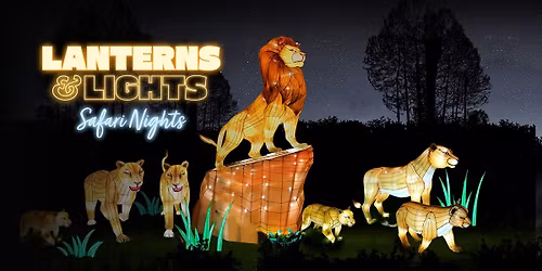 Lanterns & Lights Safari Nights