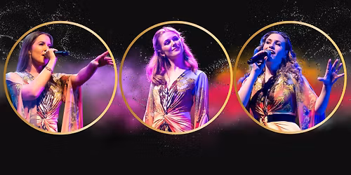 Voulez Vous - ABBA show