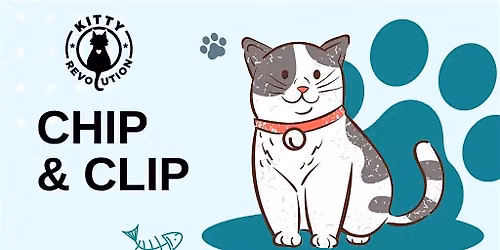 Cat Chip 'n Clip with Kitty Revolution