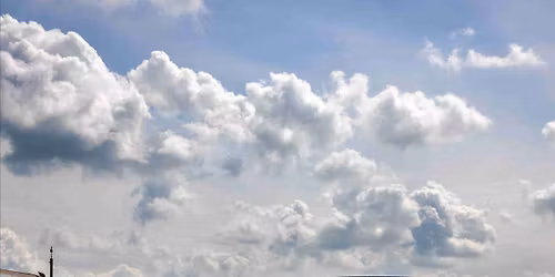 Early Birds at Locomotion