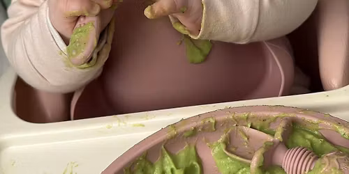 Introducing Solids Workshop