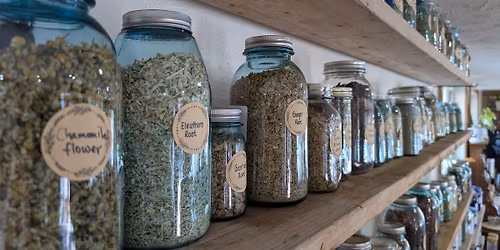 Herbalist Collective