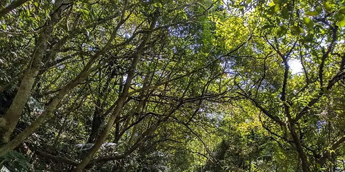 \u5c0f\u767e\u5cb3\u7a1c\u7dda\u4e0a\u7684\u9577\u57ce 11\/09