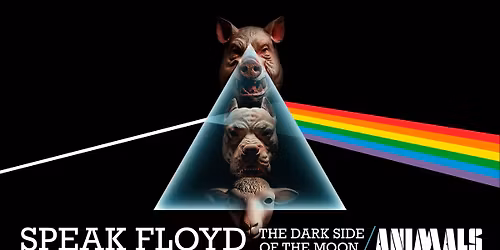 Speak Floyd at FORM Space